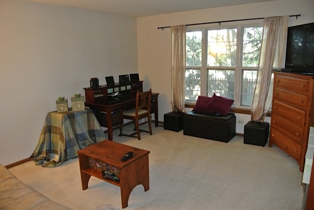 5S455 Scots Drive, Unit F Naperville, IL 60563 - Photo 9 of 12