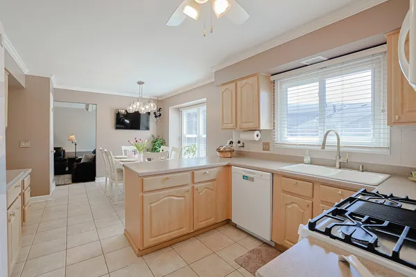 $699,900 | 229 Tudor Lane, Schaumburg, IL 60193