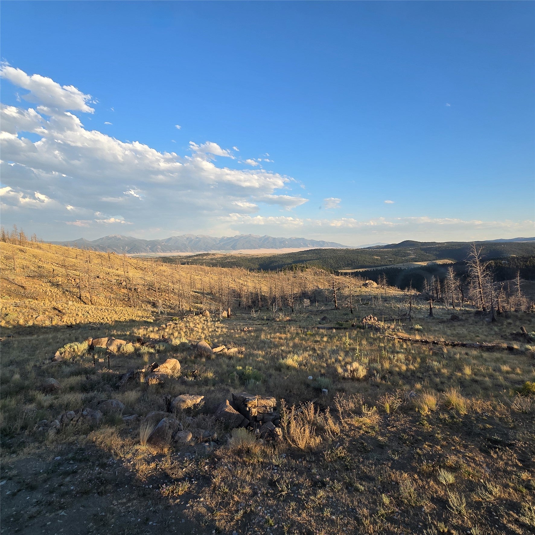 210 Friendspring Road Whitehall, MT 59759 - Photo 15 of 43 View of mountain backdrop