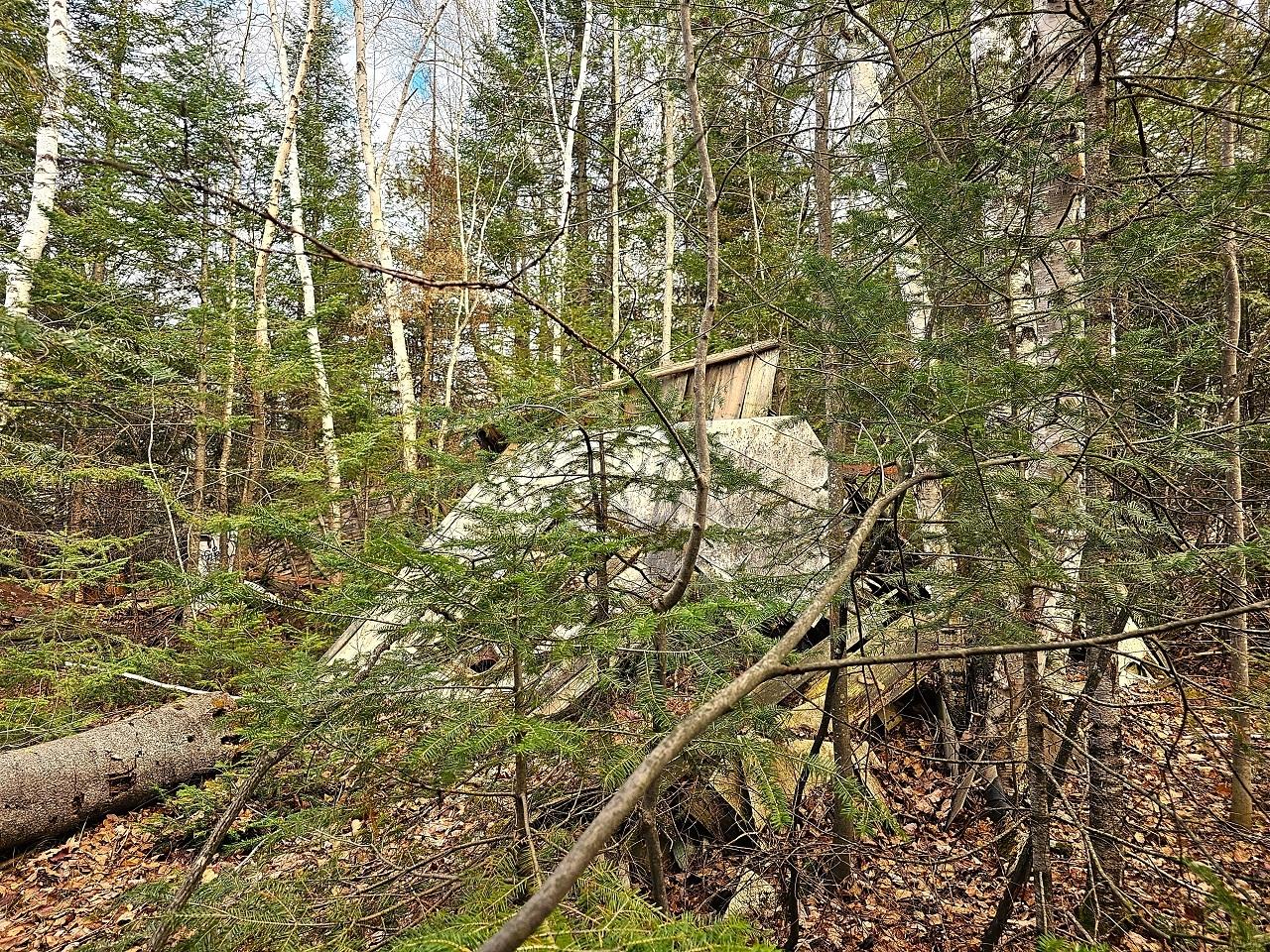 6043 North Cth H Mercer, WI 54547 - Photo 11 of 11 Gallery Image 11