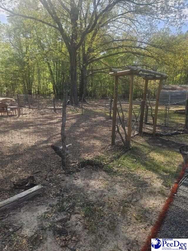 6102 Berry Road Blenheim, SC 29516 - Photo 21 of 21 Gallery Image 21