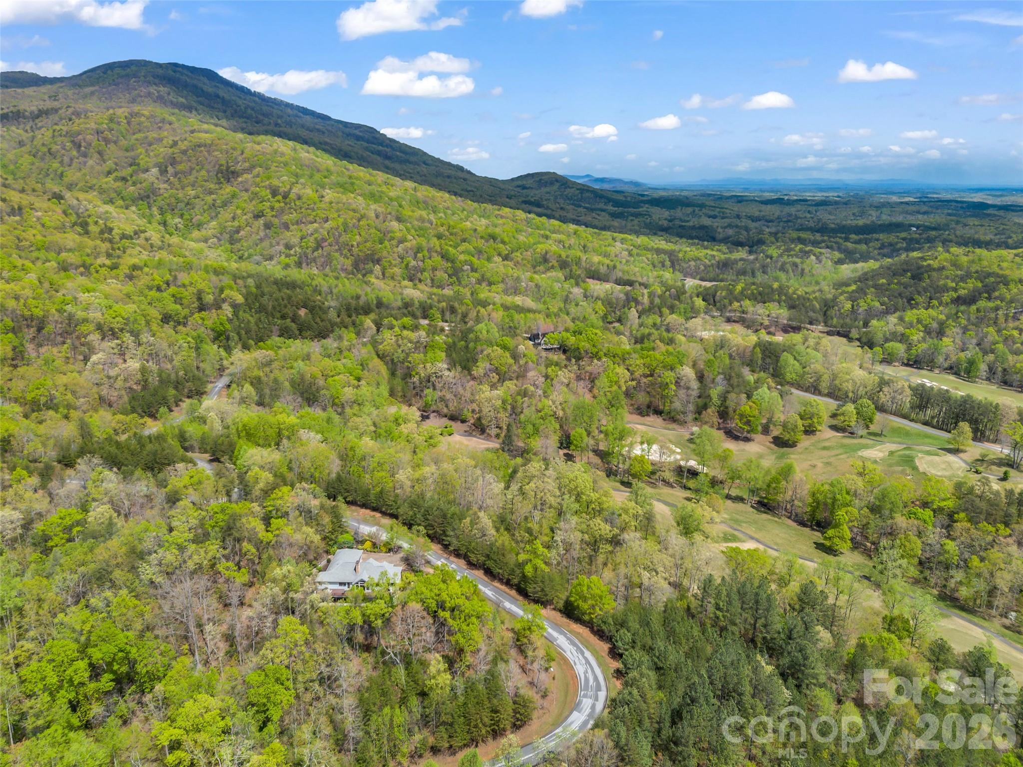 112 Deep Gap Farm Road East Mill Spring, NC 28756 - Photo 7 of 23