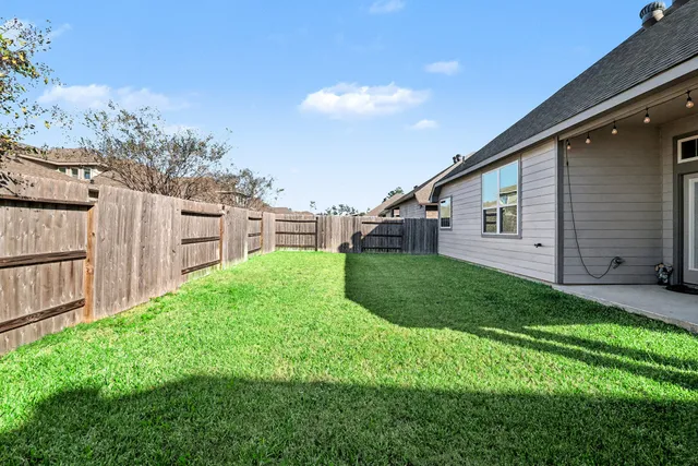 a view of a backyard with plants