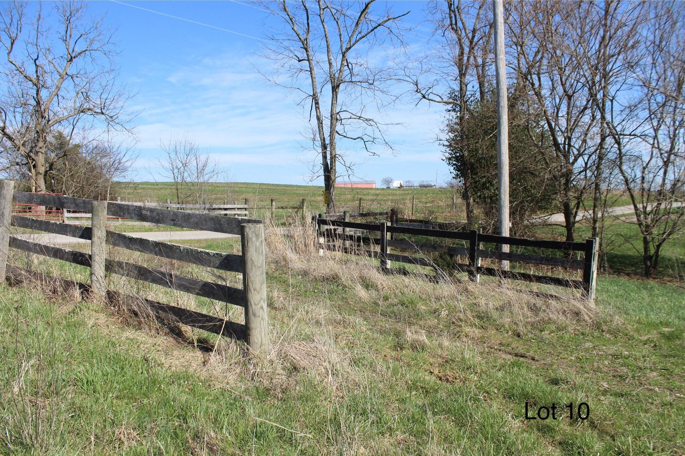 1874 Poindexter Road Cynthiana, KY 41031 - Photo 3 of 8 20260402164159459919000000-o