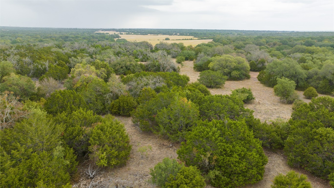 an aerial view of forest