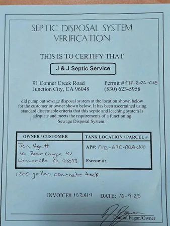 a view of a yard with plants and trees