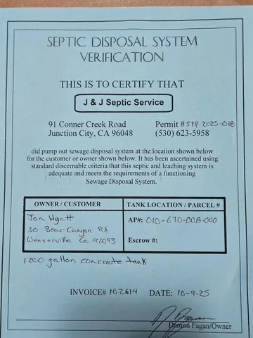 a view of a yard with plants and trees