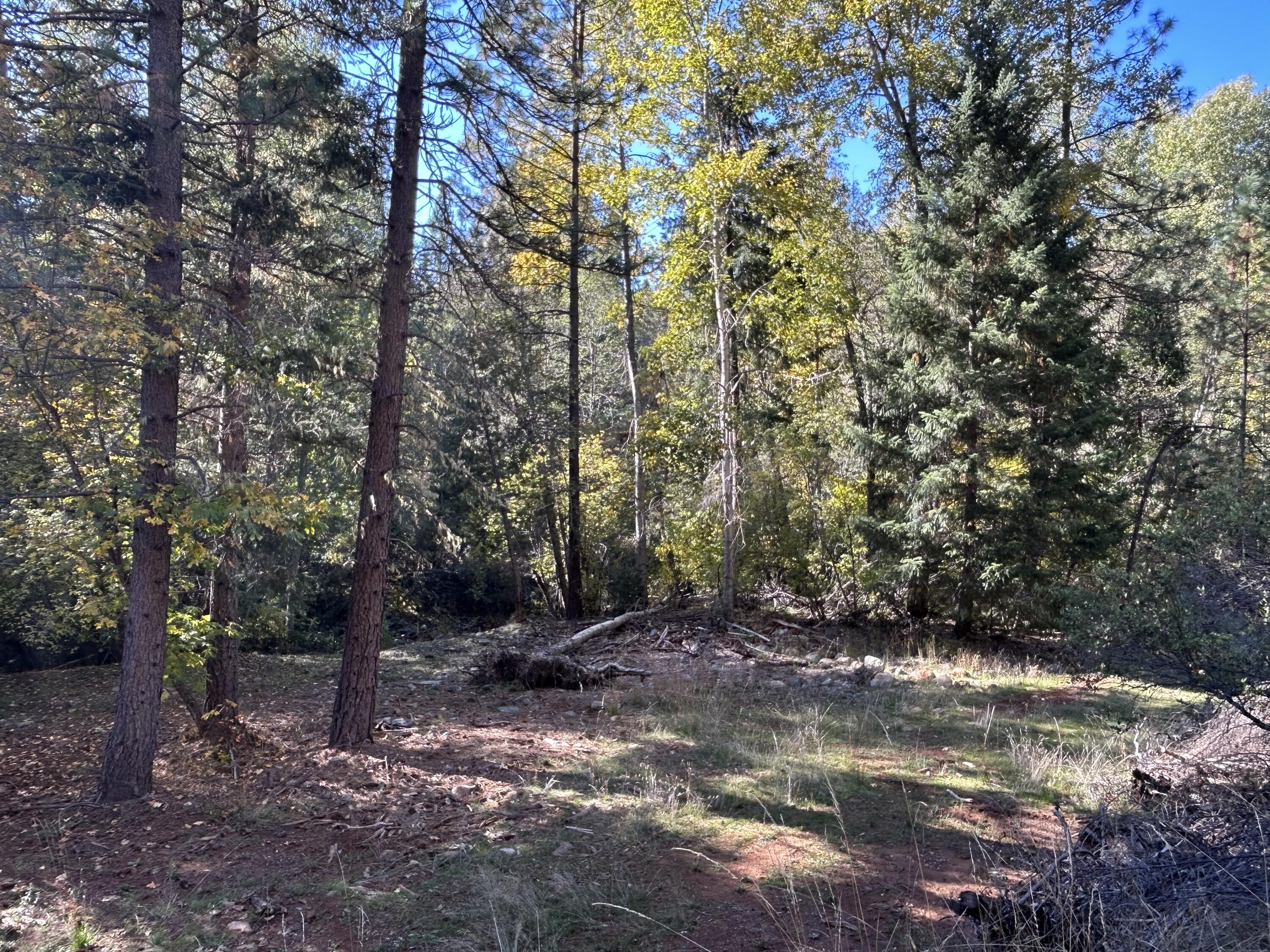 30 Bear Canyon Road Lewiston, CA 96052 - Photo 49 of 64 a view of outdoor space and trees