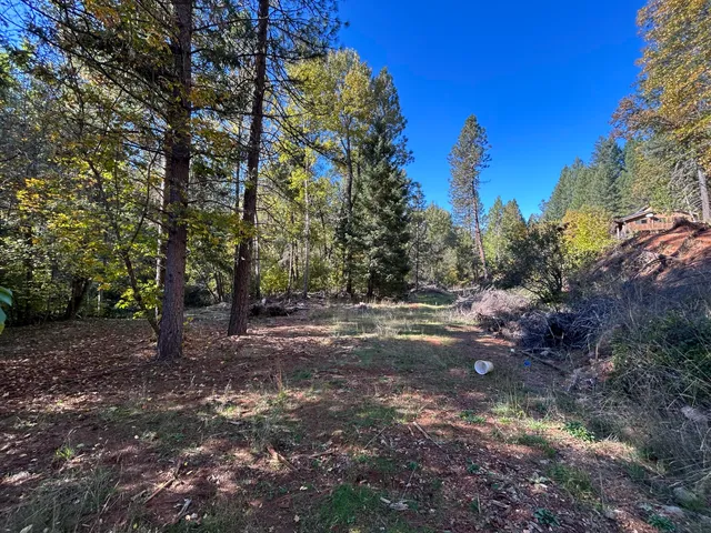 $250,000 | 30 Bear Canyon Road, Lewiston, CA 96052