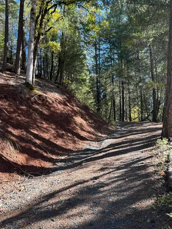 $250,000 | 30 Bear Canyon Road, Lewiston, CA 96052