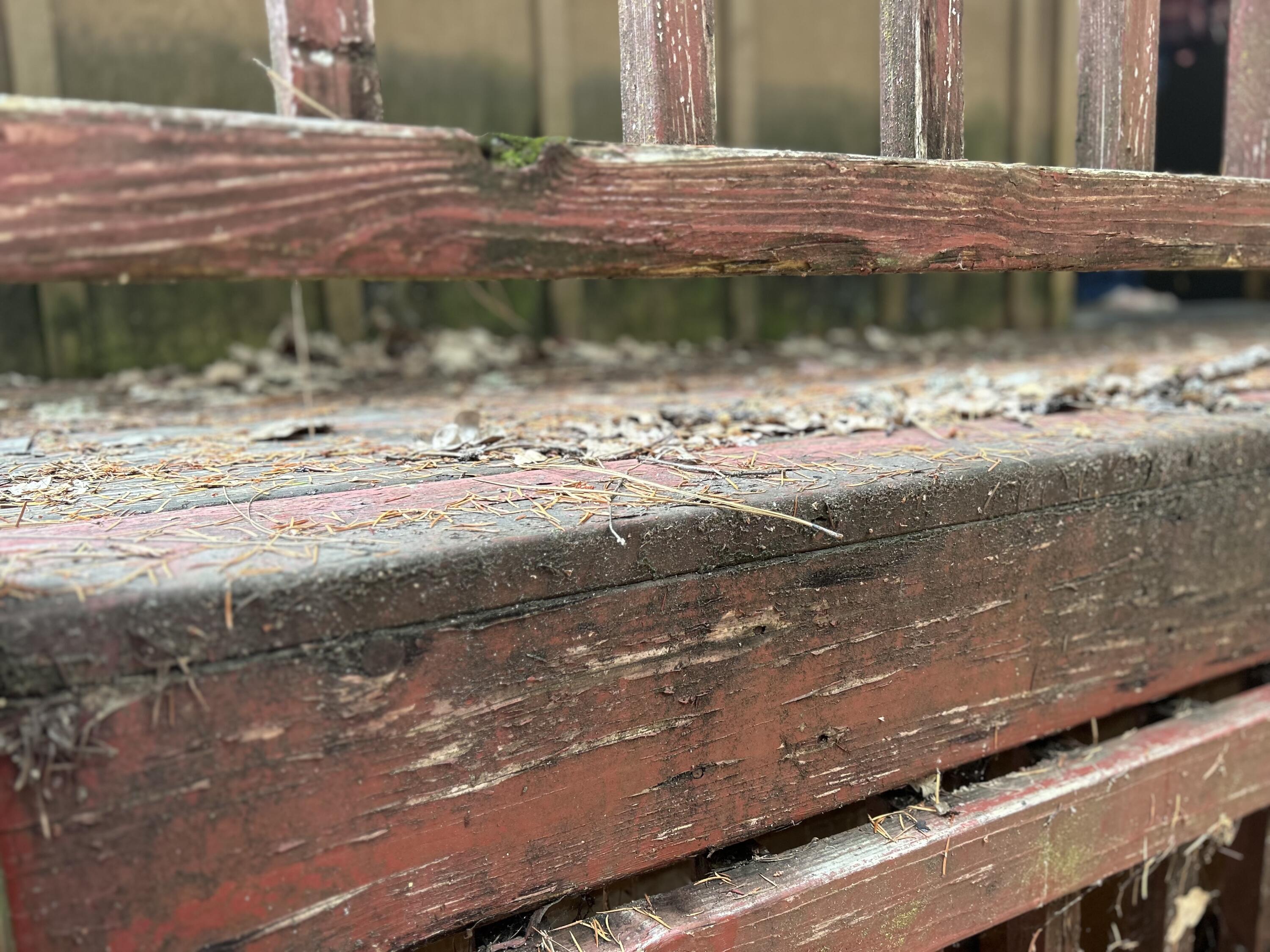 30 Bear Canyon Road Lewiston, CA 96052 - Photo 55 of 64 a view of a backyard of a house