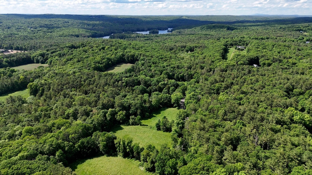 0 Brooks Pond Road Spencer, MA 01562 - Photo 11 of 16 a view of a lush green forest with a sink and green landscape