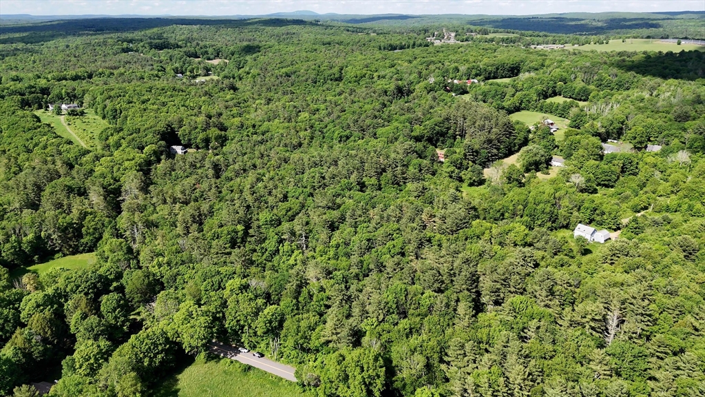 0 Brooks Pond Road Spencer, MA 01562 - Photo 12 of 16 a view of a forest with a street