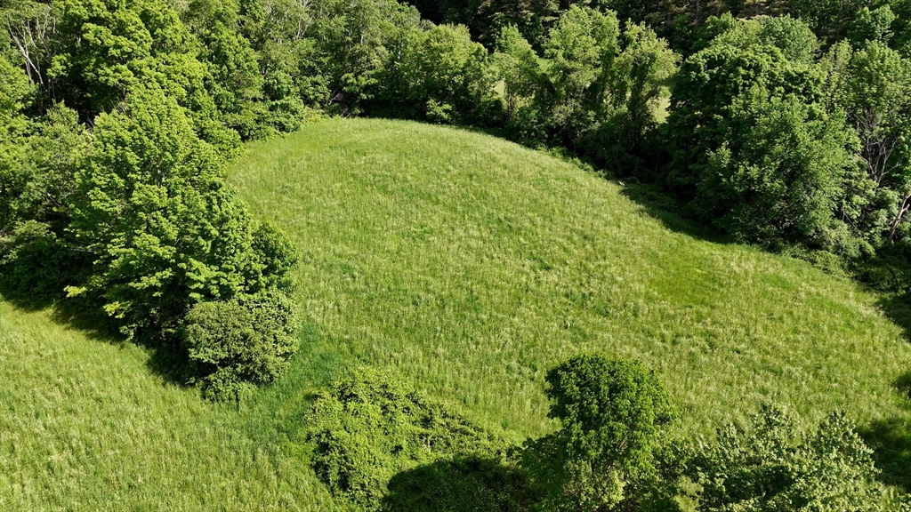 0 Brooks Pond Road Spencer, MA 01562 - Photo 13 of 16 a view of a garden