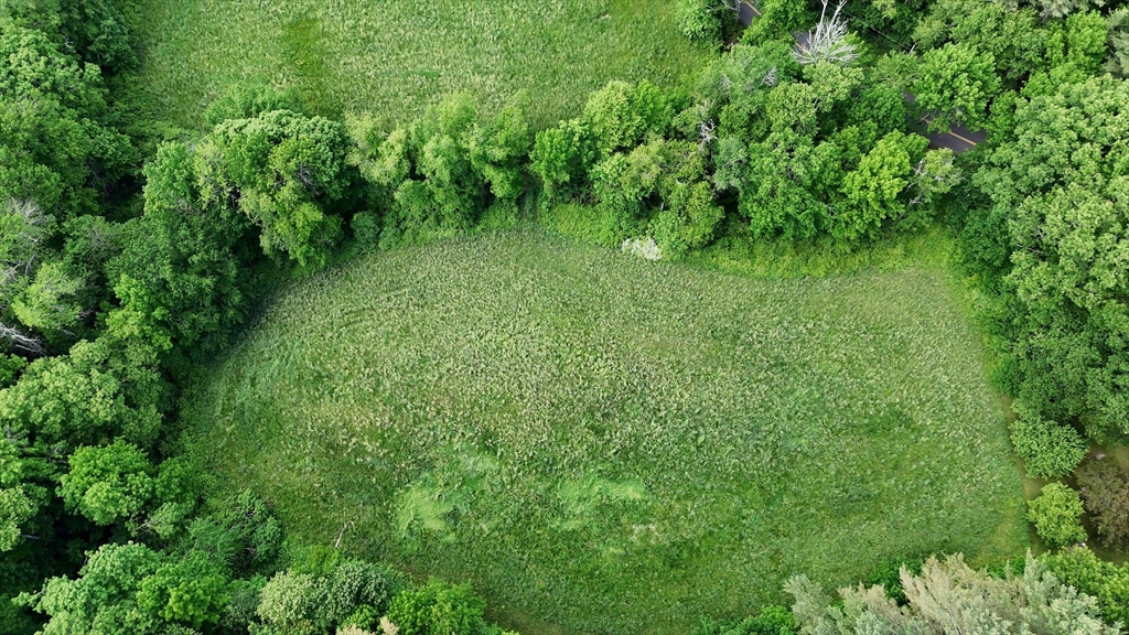 0 Brooks Pond Road Spencer, MA 01562 - Photo 6 of 16 a lush green forest with lots of trees