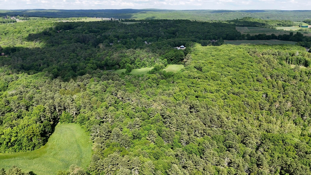 0 Brooks Pond Road Spencer, MA 01562 - Photo 8 of 16 a view of a garden with a lake