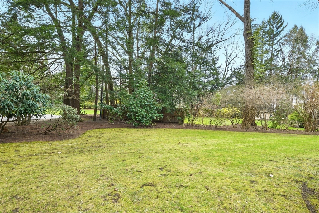 68 Normandy Road Longmeadow, MA 01106 - Photo 38 of 42 a view of a yard with a tree