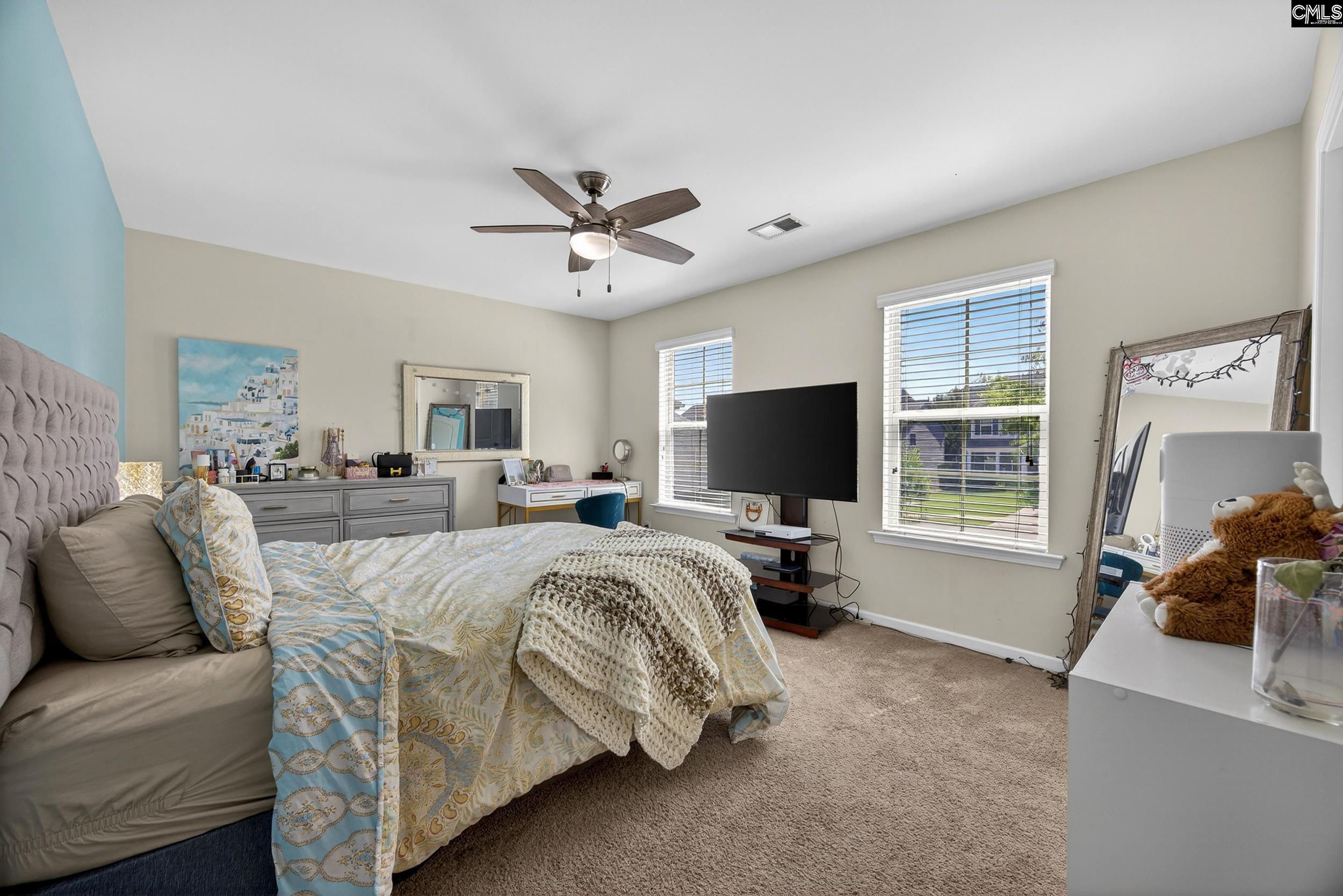 436 Maria Posada Court Chapin, SC 29036 - Photo 46 of 73