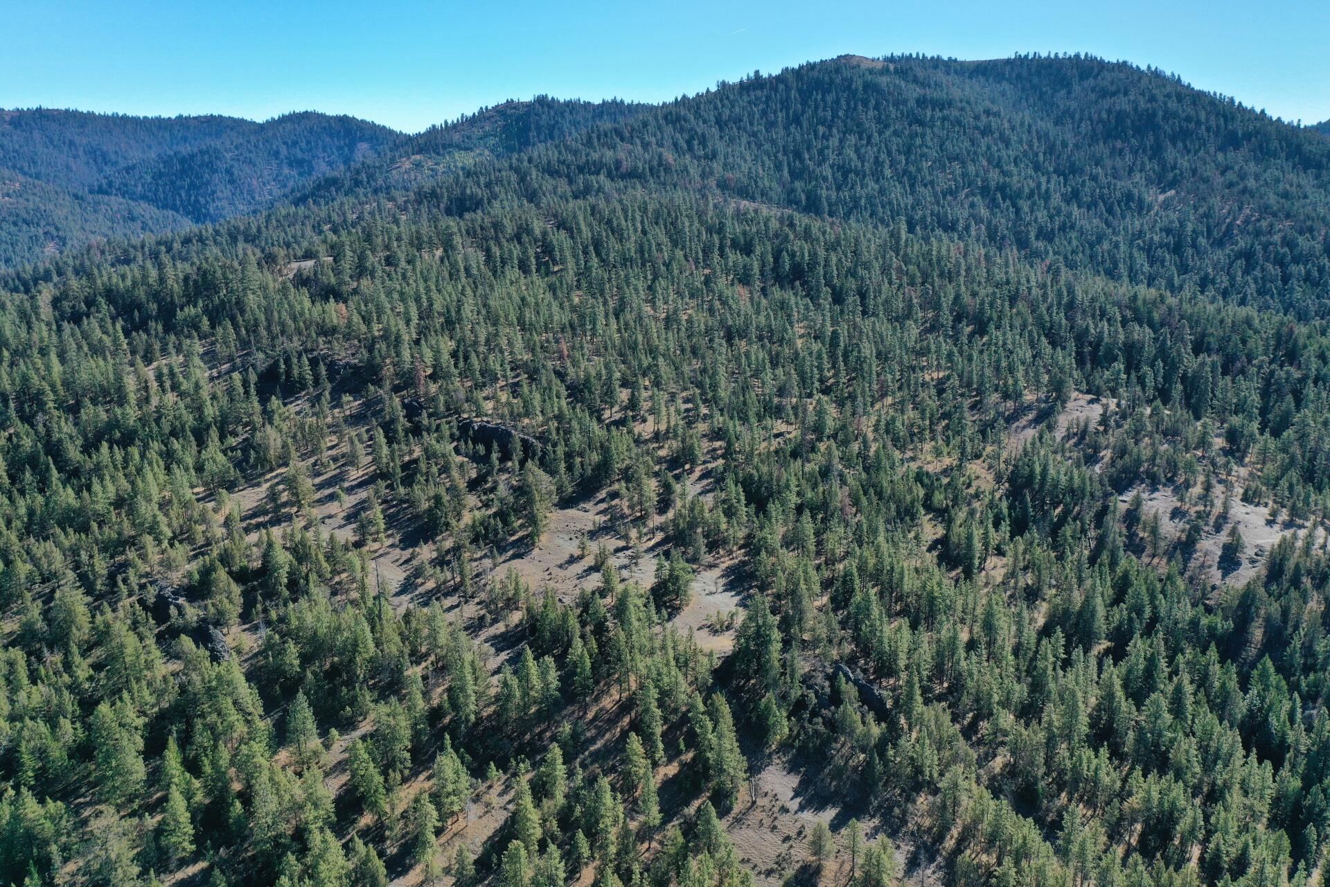 Nans Rock Rd Mount, Unit 3007 Mount Vernon, OR 97865 - Photo 10 of 16 DJI_0045