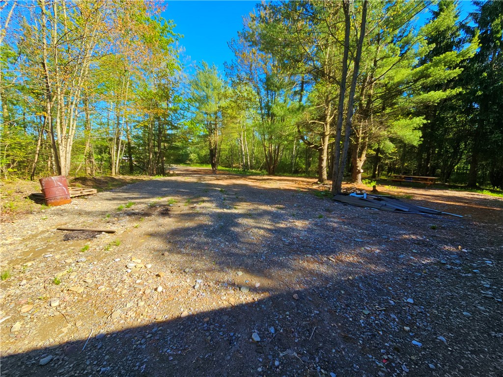 9593 Bull Hill Road Prattsburgh, NY 14873 - Photo 11 of 43