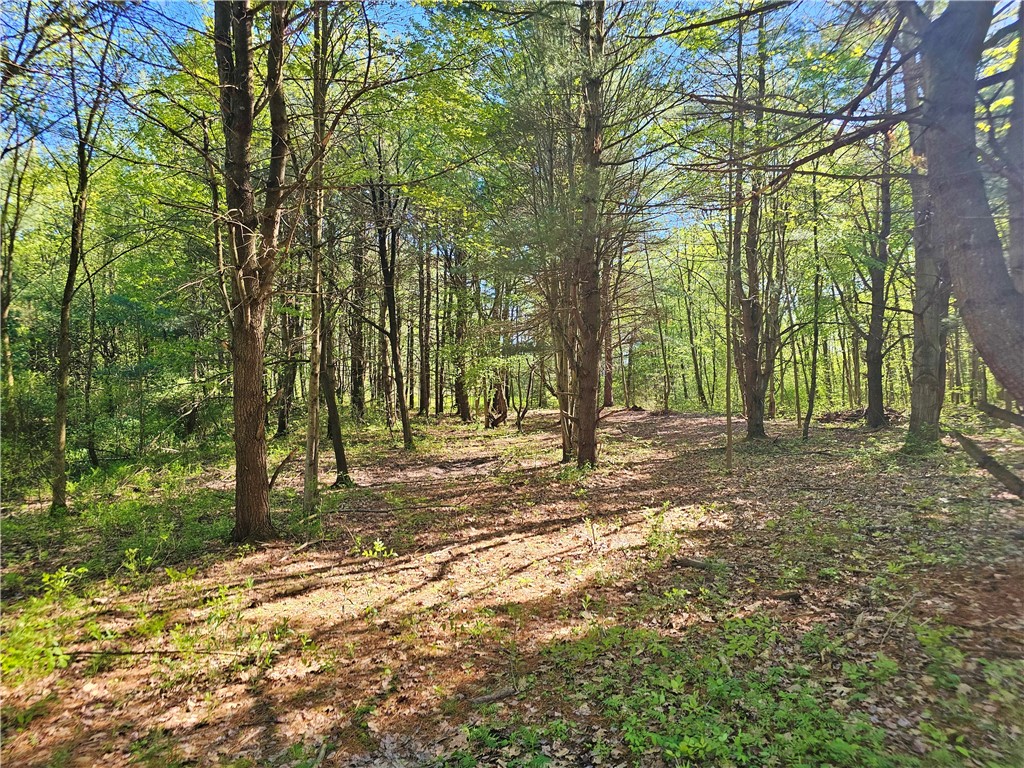 9593 Bull Hill Road Prattsburgh, NY 14873 - Photo 12 of 43