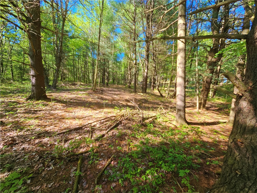 9593 Bull Hill Road Prattsburgh, NY 14873 - Photo 13 of 43