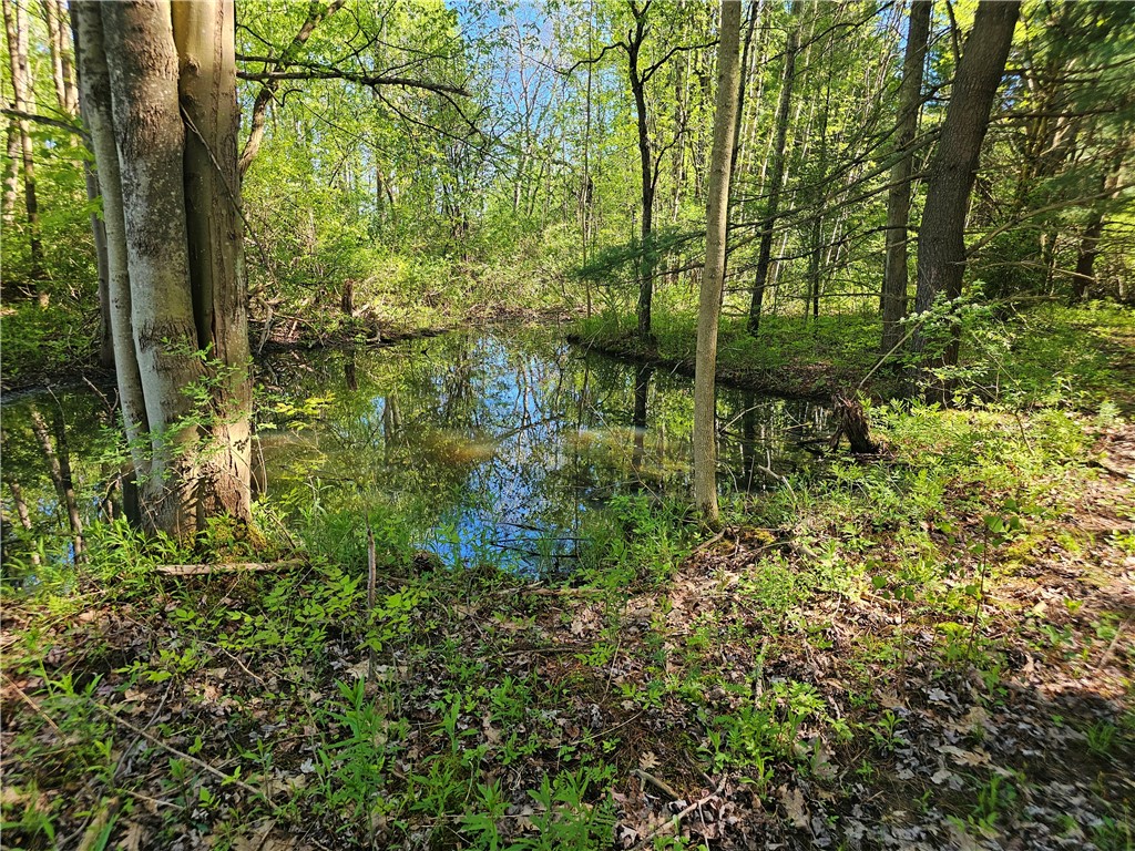 9593 Bull Hill Road Prattsburgh, NY 14873 - Photo 14 of 43