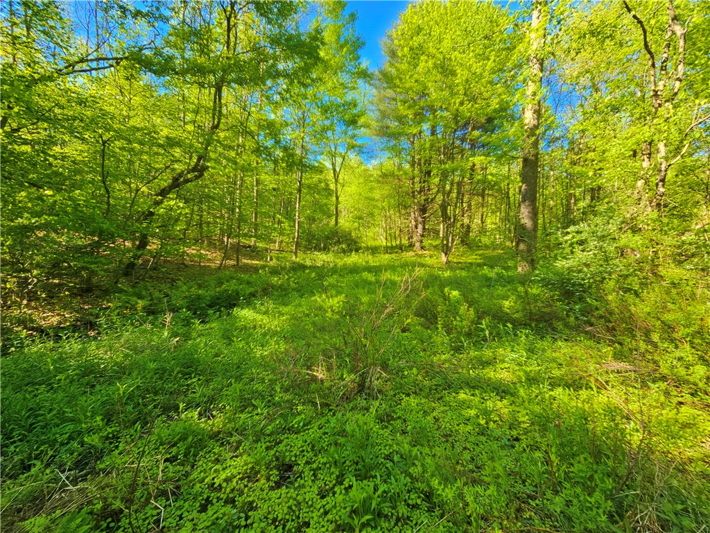 9593 Bull Hill Road Prattsburgh, NY 14873 - Photo 17 of 43