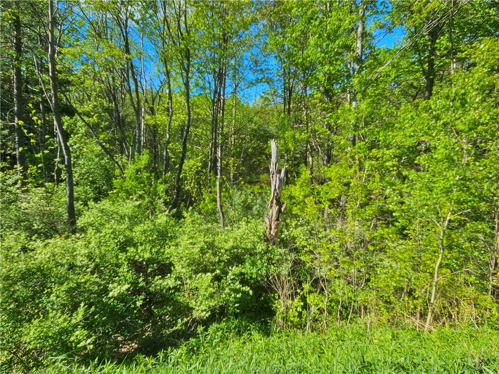 9593 Bull Hill Road Prattsburgh, NY 14873 - Photo 18 of 43