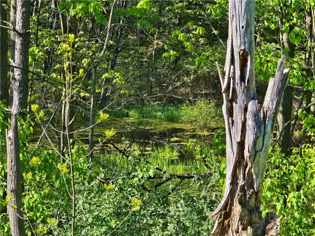 9593 Bull Hill Road Prattsburgh, NY 14873 - Photo 19 of 43