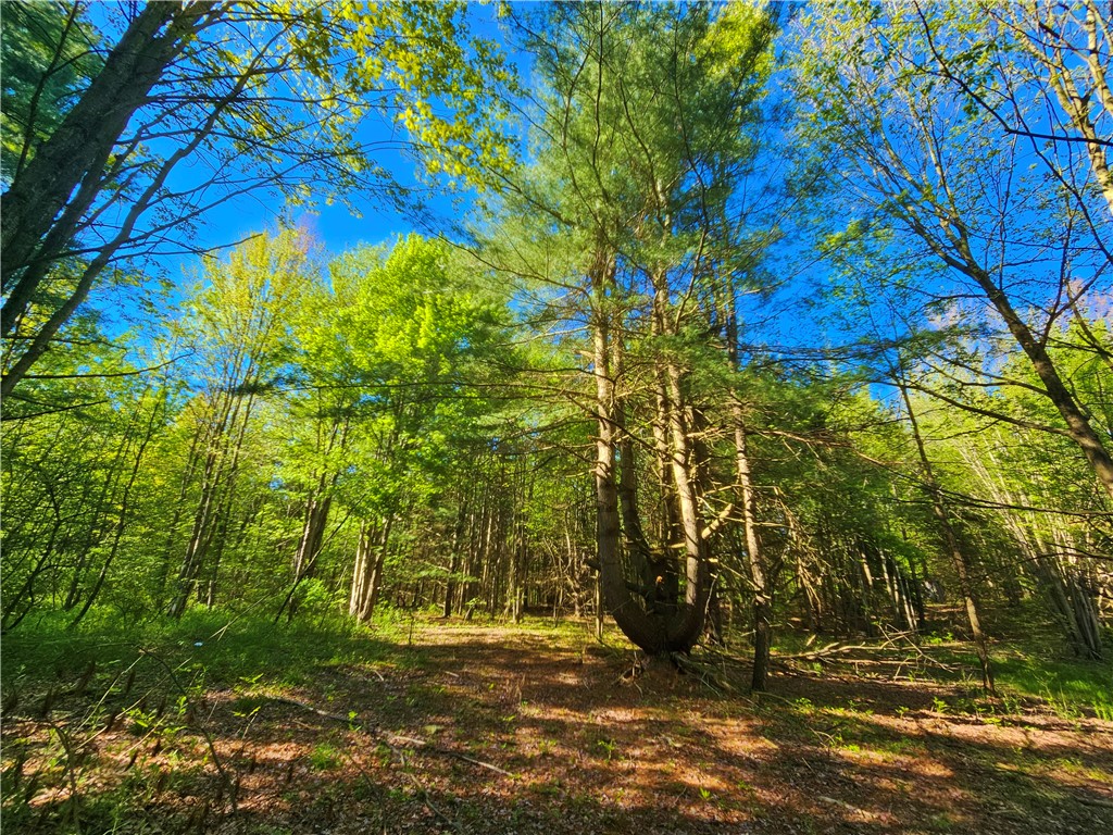 9593 Bull Hill Road Prattsburgh, NY 14873 - Photo 20 of 43