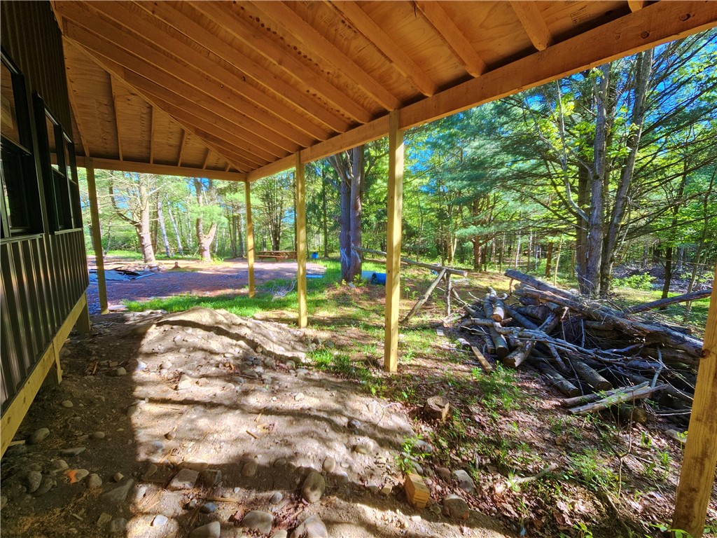 9593 Bull Hill Road Prattsburgh, NY 14873 - Photo 3 of 43