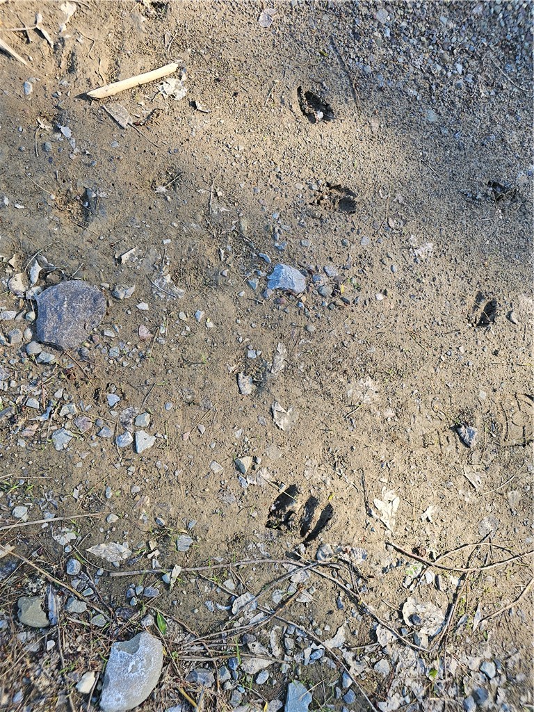 9593 Bull Hill Road Prattsburgh, NY 14873 - Photo 40 of 43