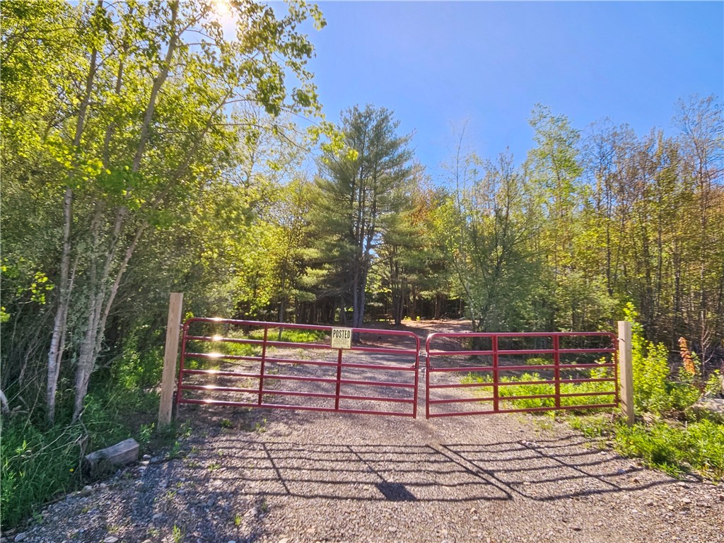 9593 Bull Hill Road Prattsburgh, NY 14873 - Photo 42 of 43