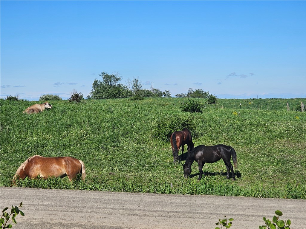 9593 Bull Hill Road Prattsburgh, NY 14873 - Photo 43 of 43