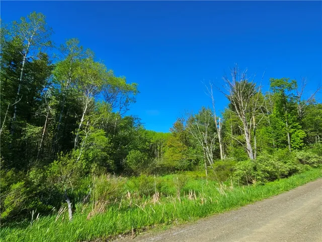 $229,900 | 9593 Bull Hill Road, Prattsburgh, NY 14873
