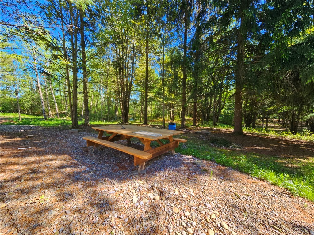 9593 Bull Hill Road Prattsburgh, NY 14873 - Photo 10 of 43