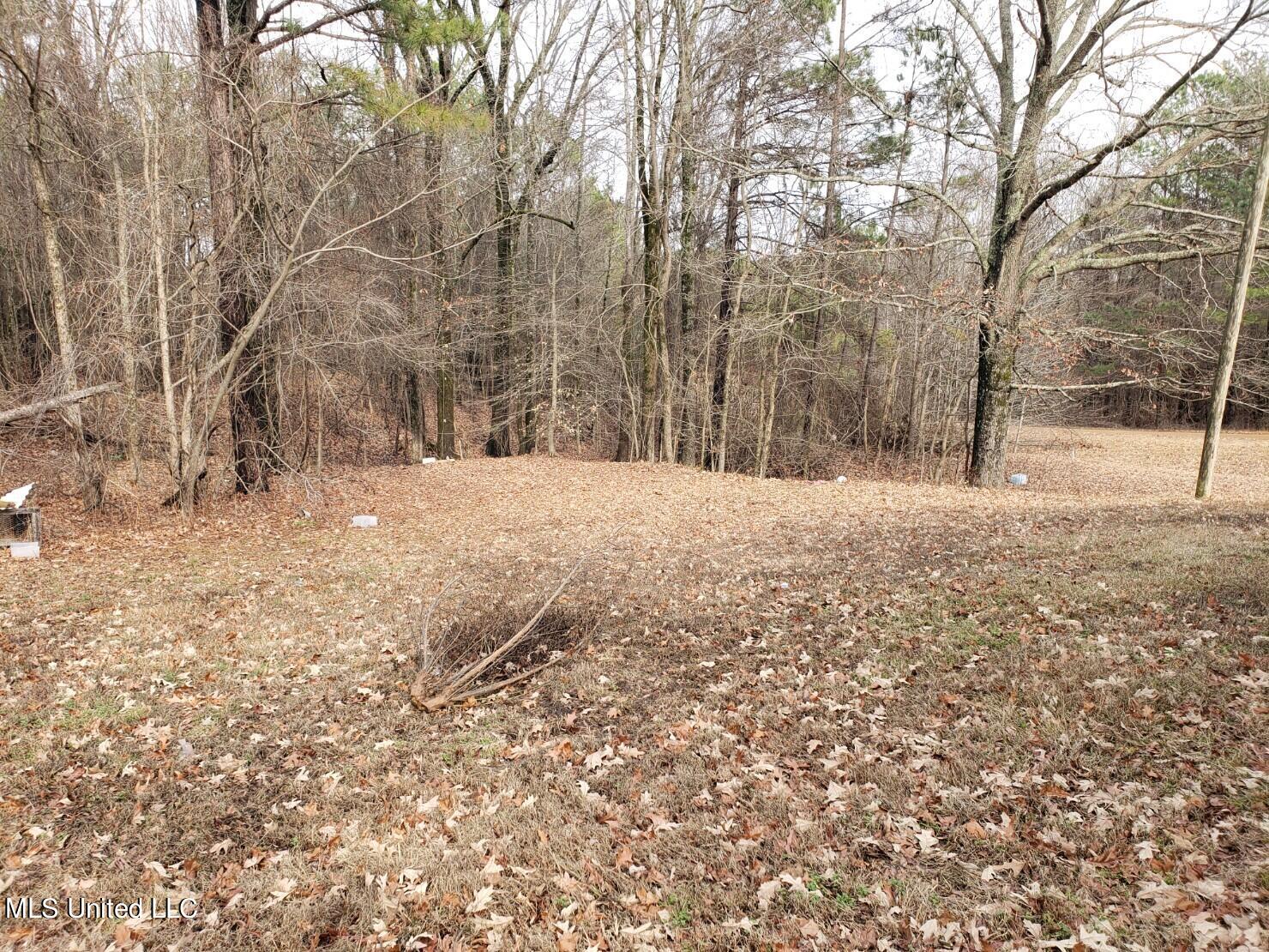 193 Chickasaw Ridge Pope, MS 38658 - Photo 8 of 23 Back Yard