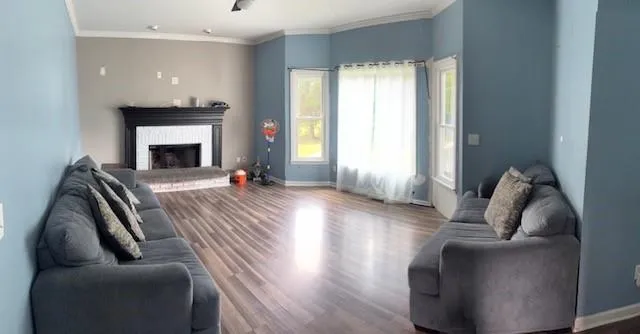 a living room with furniture and a fireplace