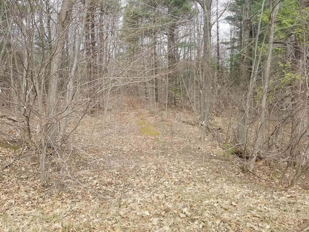 . Bull Run Road Constable, NY 12926 - Photo 1 of 1 Gallery Image 1