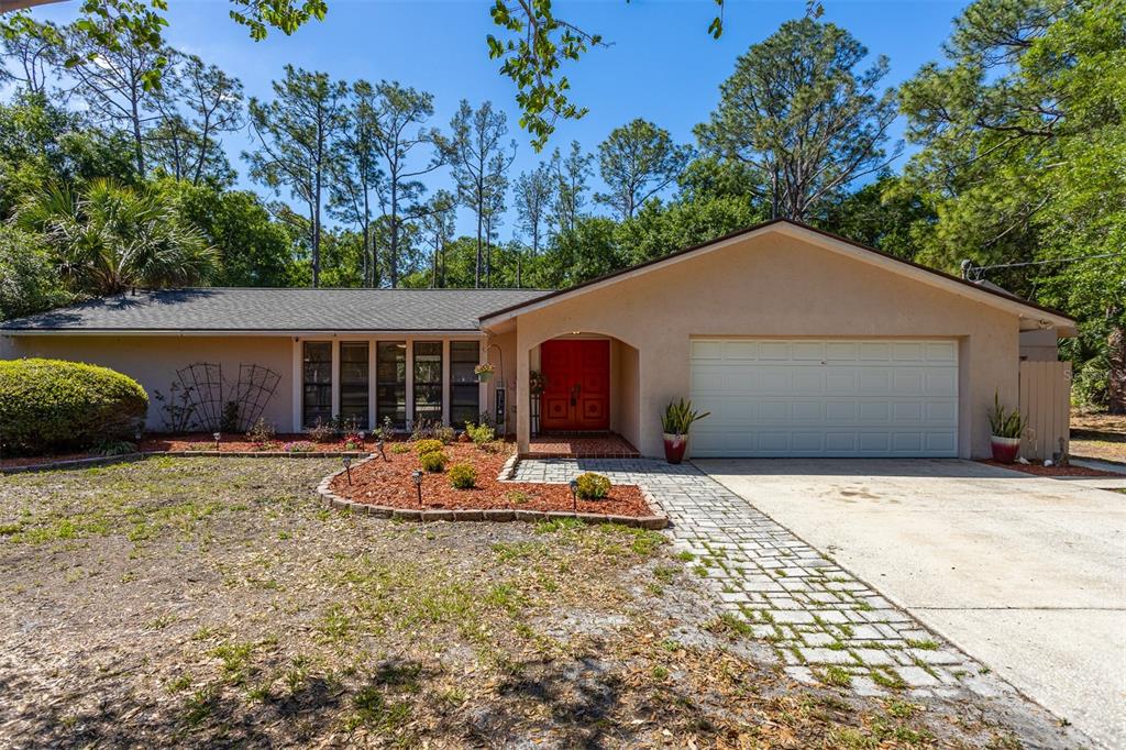 12814 Twin Branch Acres Road Tampa, FL 33626 - Photo 1 of 58