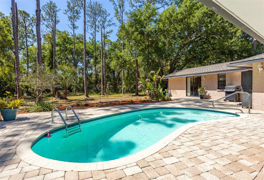 12814 Twin Branch Acres Road Tampa, FL 33626 - Photo 2 of 58