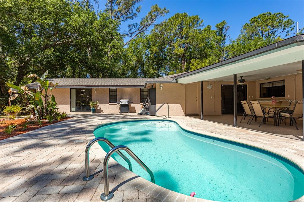 12814 Twin Branch Acres Road Tampa, FL 33626 - Photo 3 of 58