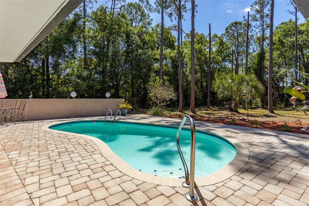 12814 Twin Branch Acres Road Tampa, FL 33626 - Photo 42 of 58