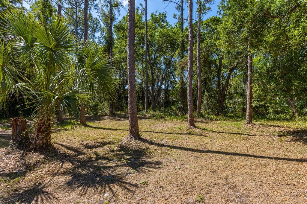 12814 Twin Branch Acres Road Tampa, FL 33626 - Photo 50 of 58