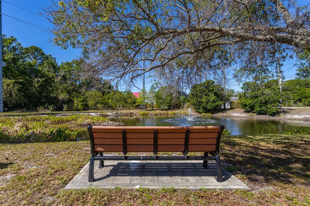 12814 Twin Branch Acres Road Tampa, FL 33626 - Photo 5 of 58