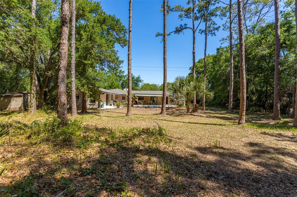 12814 Twin Branch Acres Road Tampa, FL 33626 - Photo 51 of 58
