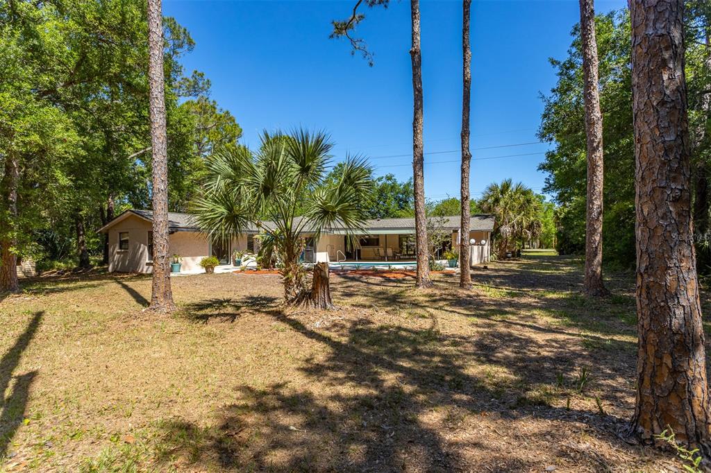 12814 Twin Branch Acres Road Tampa, FL 33626 - Photo 52 of 58