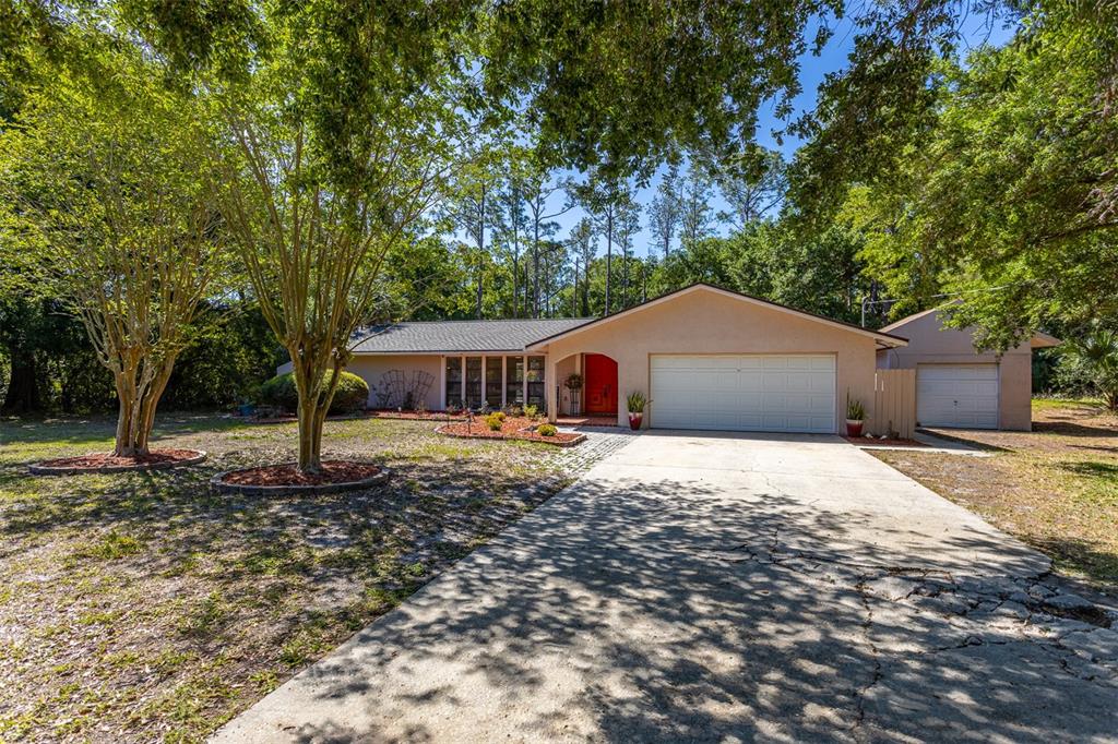 12814 Twin Branch Acres Road Tampa, FL 33626 - Photo 6 of 58