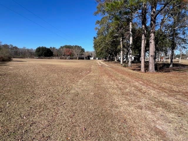 10299 Cravey Bridge Road Florala, AL 36442 - Photo 44 of 50 Gallery Image 44